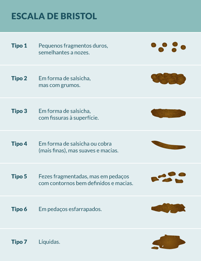 Escala de bristol: os diferentes tipos de fezes