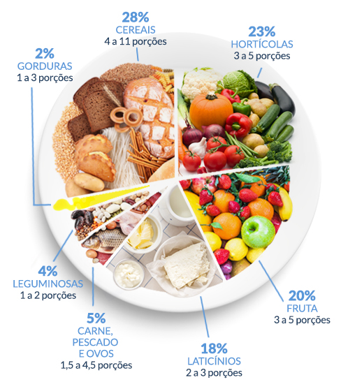 Um Dia A Cumprir A Roda Dos Alimentos