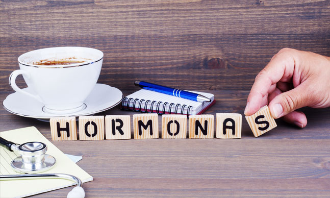 As hormonas desempenham várias funções essenciais para o bom funcionamento do organismo.