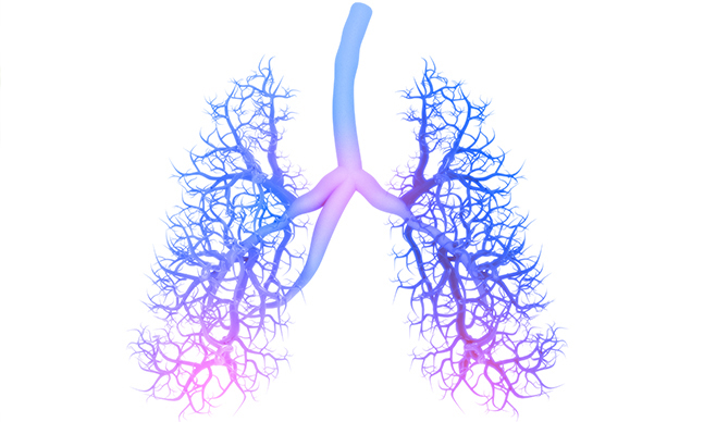 Espirometria: o que é, para que serve e como é feita