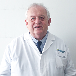 Prof. Dr. José Frey Ramos