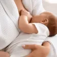 mastite