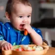 introducao alimentar