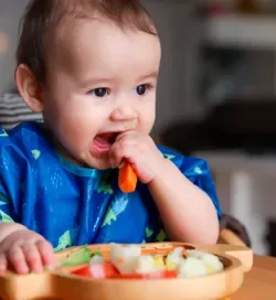 introducao alimentar