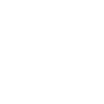 himss logo