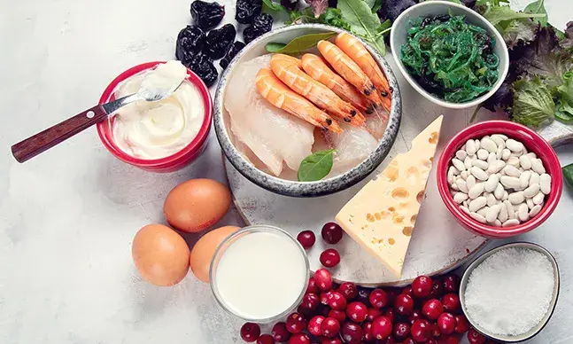 Quais as fontes de iodo e qual a sua importância no organismo humano?