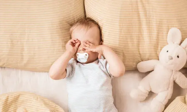Sono bebe