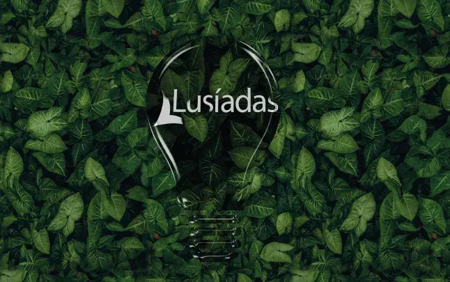 Lusíadas Saúde desliga iluminação externa  de todos os hospitais e clínicas a 1 de outubro