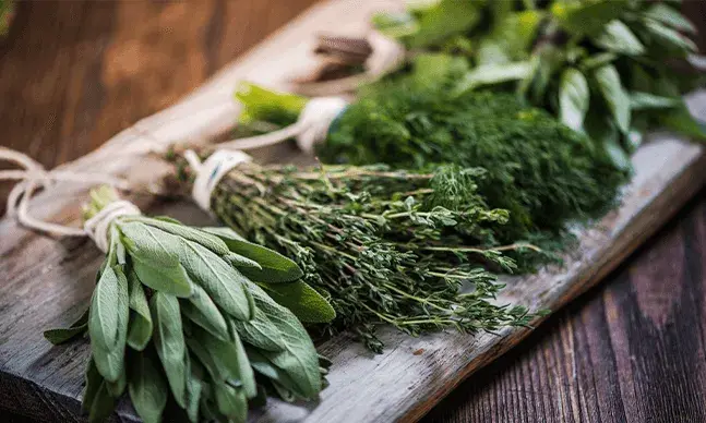 Aromaticas nutriçao