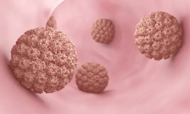 HPV