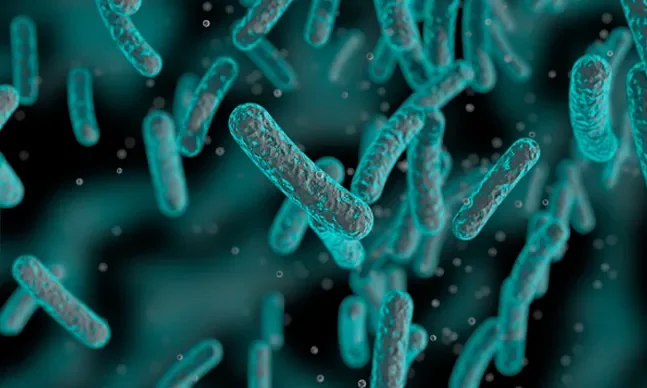 helicobacter pylori