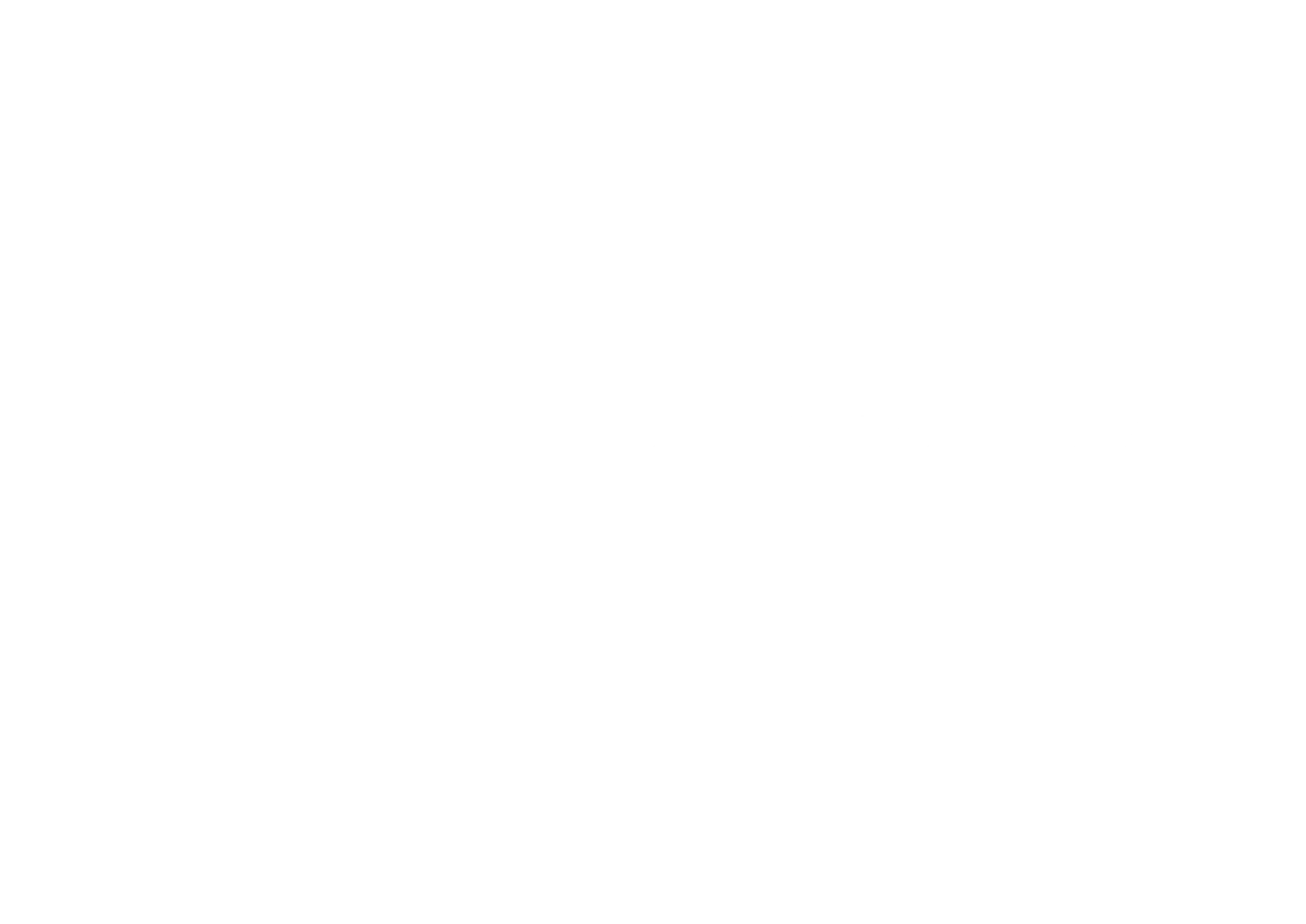 logo widex