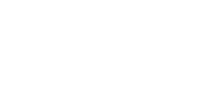 Logo HUG branco