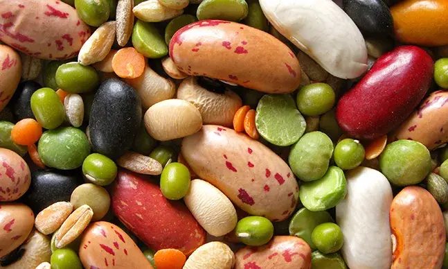 Os cereais e leguminosas são essenciais para a nossa saúde