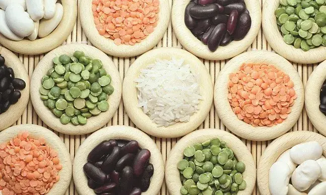 A Organização das Nações Unidas para Agricultura e Alimentação (FAO) determinou que 2016 será o Ano Internacional das Leguminosas