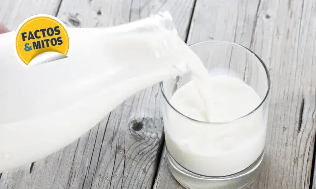 No caso de intolerância,  o leite de vaca pode ser substituído por leite com baixo teor em lactose ou por leite sem lactose.