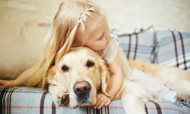 Conheça as vantagens dos animais para a sua saúde e da sua família