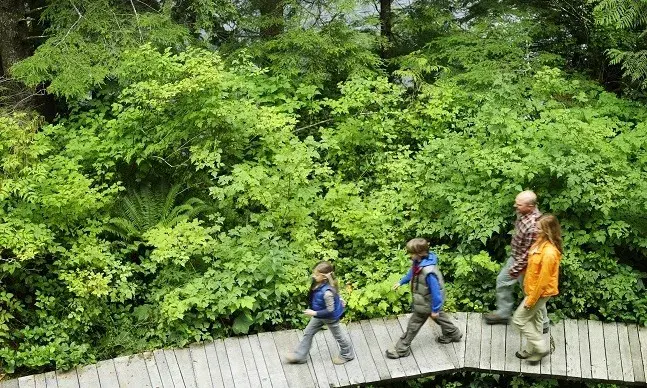 Vitamina D: porque precisamos dela