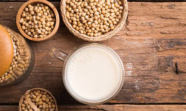 Bebidas vegetais: serão uma opção equilibrada?