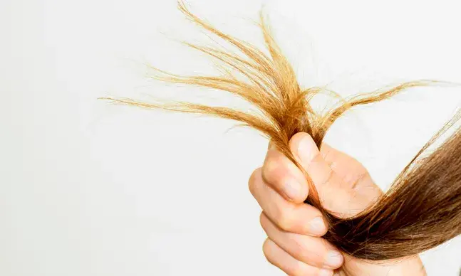 Se arrancar um cabelo branco nascem outros sete?