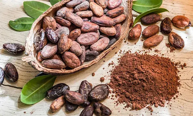 Conheça as vantagens nutricionais do cacau