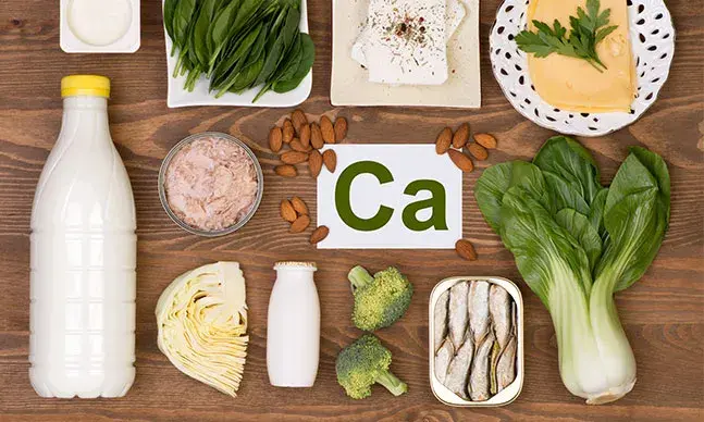 Nutrição: prevenção e tratamento da osteoporose