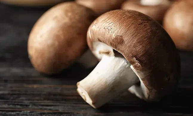 Cogumelos: as vantagens