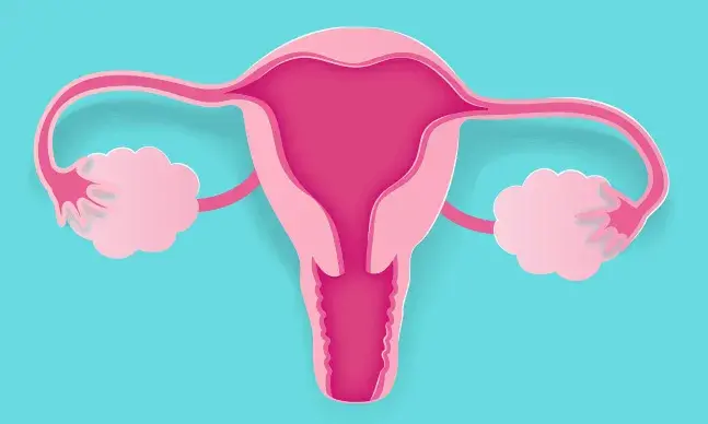 Colposcopia: o que é e como se faz este exame