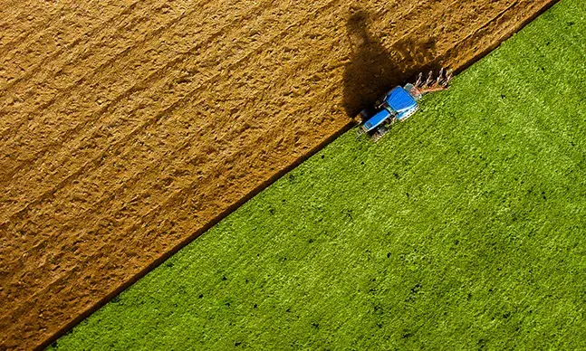 Dia Mundial da Alimentação: o que deve saber sobre a iniciativa "Geração Fome Zero"