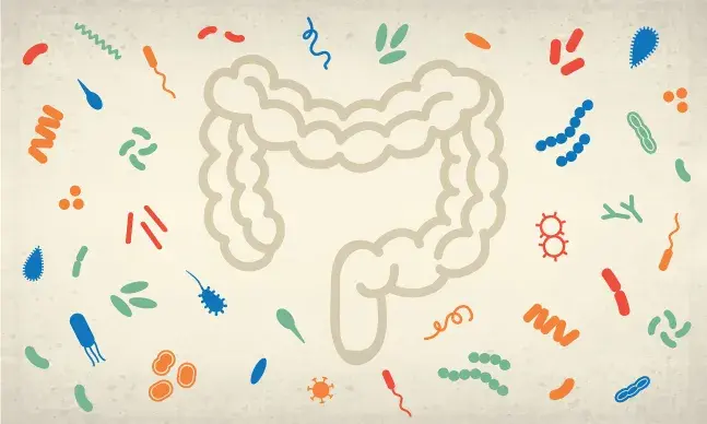 As doenças do intestino podem ser incapacitantes.