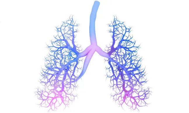 Espirometria: o que é e como é realizada