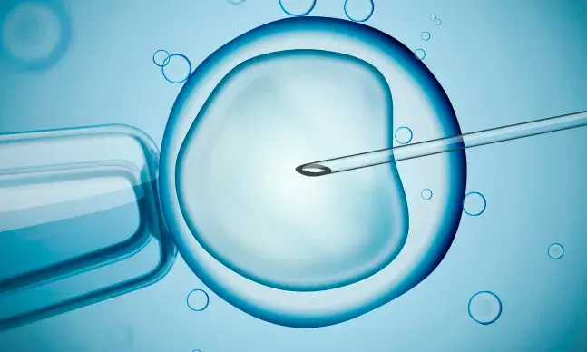 FIV e inseminação arteficial: os diferentes tipos