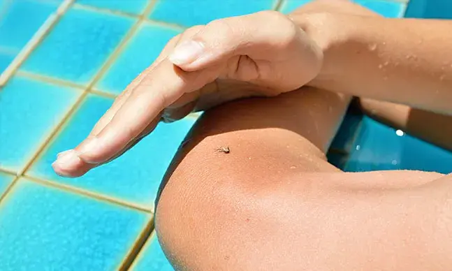 Os mosquitos só picam algumas pessoas?