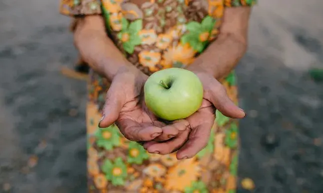 Nutrição em geriatria: qual a sua importância