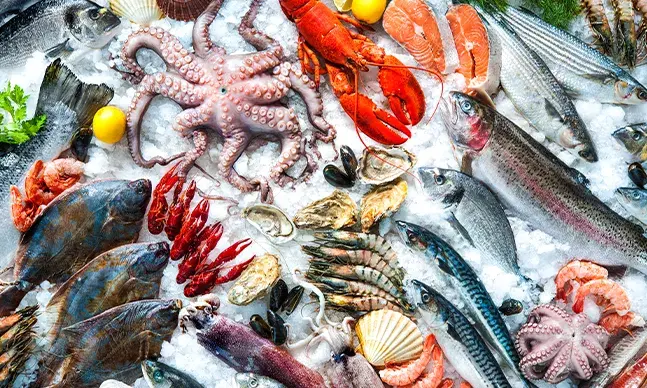 Pescado: como escolher