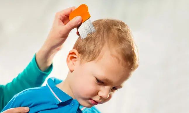 Os piolhos não voam, mas pulam e podem passar para as cabeças mais próximas. 
