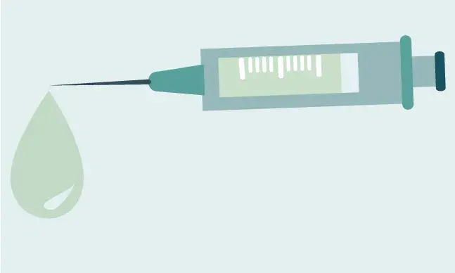 Saiba mais sobre o Programa Nacional de Vacinação