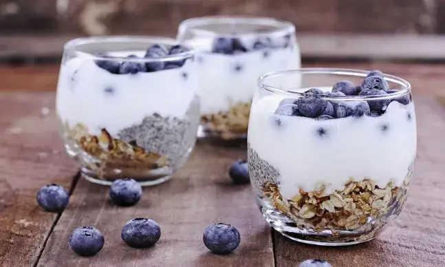 Probióticos, prebióticos: o que são?