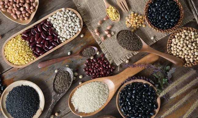 Conheça os diferentes tipos de sementes e saiba como usá-las na alimentação. Têm vitaminas e sais minerais e ajudam a prevenir o envelhecimento precoce.