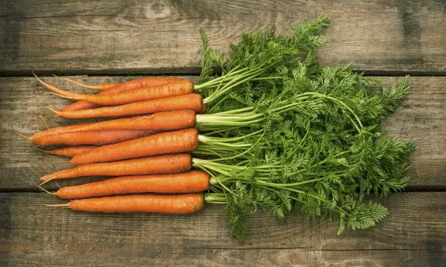 As frutas e legumes são ricos em vitamina A, nomeadamente a cenoura, batata-doce, espinafres, couve portuguesa e lombarda. Deve assegurar que consome alimentos ricos em vitamina A na gravidez. 