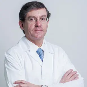 Dr. João Veiga Gomes