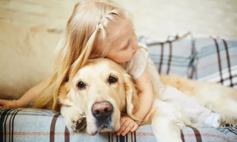 Conheça as vantagens dos animais para a sua saúde e da sua família Conheça as vantagens dos animais para a sua saúde e da sua família