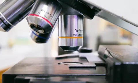 Biopsia: o que é e como se faz? Biopsia: o que é e como se faz?