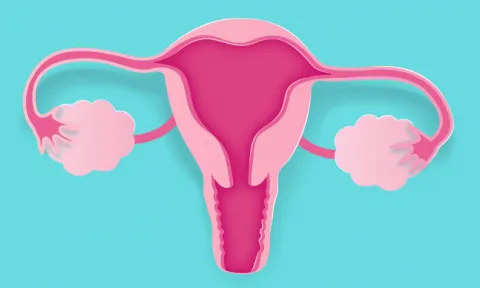 Colposcopia: o que é e como se faz este exame Colposcopia: o que é e como se faz este exame