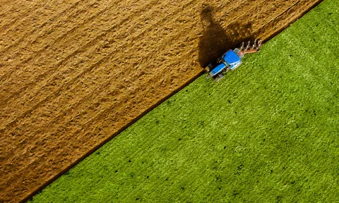 Dia Mundial da Alimentação: o que deve saber sobre a iniciativa "Geração Fome Zero" Dia Mundial da Alimentação: o que deve saber sobre a iniciativa "Geração Fome Zero"
