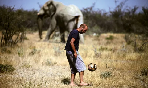 Em Etosha, na Namíbia, Tiago Carrasco joga futebol a cerca de 100 metros de um elefante Em Etosha, na Namíbia, Tiago Carrasco joga futebol a cerca de 100 metros de um elefante