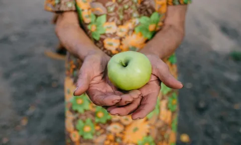 Nutrição em geriatria: qual a sua importância Nutrição em geriatria: qual a sua importância