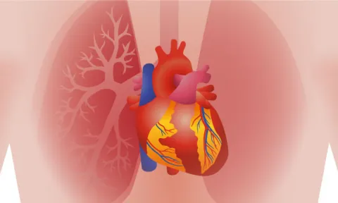 Prova de esforço cardiopulmonar: o que é? Prova de esforço cardiopulmonar: o que é?
