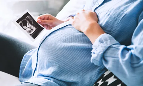 A vida do bebé dentro da barriga A vida do bebé dentro da barriga