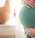 Toxoplasmose na gravidez: sintomas